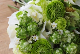 S__8396804.jpg