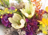 S__8396808.jpg